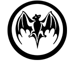 Owl Image